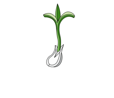 Logo Jesus Haus white 3 klein
